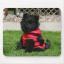 Buscar camaro alfombrillas de raton Negro