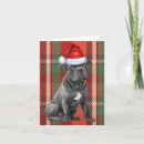 Buscar cane corso tarjetas Para todos