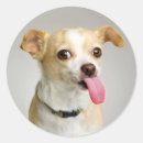 Buscar grosero pegatinas Adorable