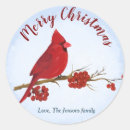 Buscar cardenal rojo pegatinas Vacaciones