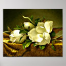 Buscar terciopelo posters Martin johnson heade