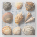 Buscar seashells posavasos Náutico