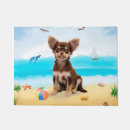 Buscar chihuahuas felpudos Animal