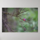 Buscar de paintball posters Pintura