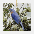 Buscar pajarita adornos Para todos