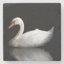 Buscar cisnes posavasos Blanco