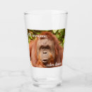 Buscar orangutan tazas Zoológico