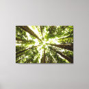 Buscar enorme lienzos Bosque