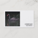 Buscar cisne tarjetas de visita Negocio