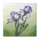 Buscar flores blancas bonitas azulejos Para todos