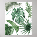 Buscar palmeras posters Blanco