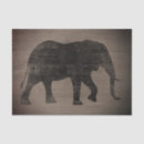 Buscar africano papel de seda Elefante