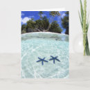 Buscar islas tarjetas Árbol