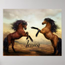 Buscar establo posters Semental