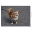 Buscar redhead tarjetas Adorable