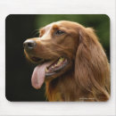 Buscar setter alfombrillas de raton Animal