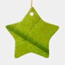 Buscar hoja verde adornos General y unisex
