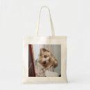 Buscar yorkie bolsos Perrito