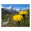 Buscar swiss arte Matterhorn