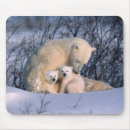 Buscar hábitat alfombrillas de raton Frío