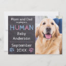 Buscar mamá del perro invitaciones Futura madre