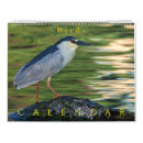Buscar pájaros calendarios Aviar
