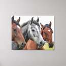 Buscar caballo hermoso lienzos Caballos