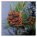 Buscar pino azulejos Cono del pino