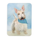 Buscar scottish terrier imanes Perro