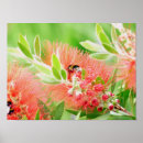 Buscar biberones posters Para todos