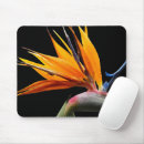Buscar ave del paraíso alfombrillas de raton Floral