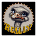 Buscar avestruz posters Humor