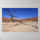 Buscar árbol desnudo posters Día