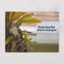 Buscar sinopsis postales Florida