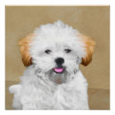 Buscar lhasa apso arte Cachorro