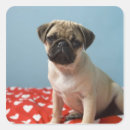 Buscar puño pegatinas Perro