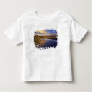 Buscar jackson hole camisetas Usa