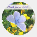 Buscar butterfly pegatinas Flores