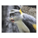 Buscar el amazonas fotografía Selva