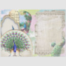 Buscar pavo real papel de seda Moda