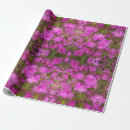 Buscar azaleas papel de regalo Morado