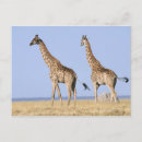 Buscar namibia postales Naturaleza