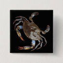 Buscar invertebrados chapas Animales