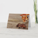Buscar rat tarjetas Amar