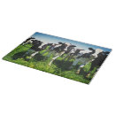 Buscar vacas tablas cortar Animal