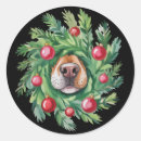 Buscar nariz de perro pegatinas Festivo