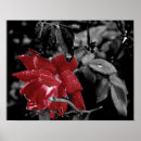 Buscar blanco negro rojo posters Para ella