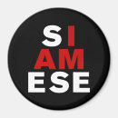 Buscar siamés imanes Tailandia