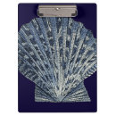 Buscar seashells oficina escuela Costero