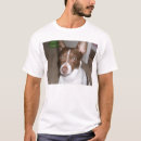 Buscar wiz ropa Mago